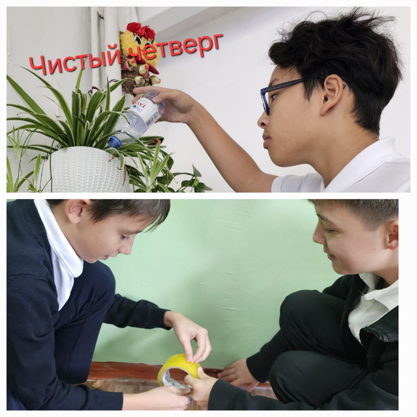 Таза Бейсенбі